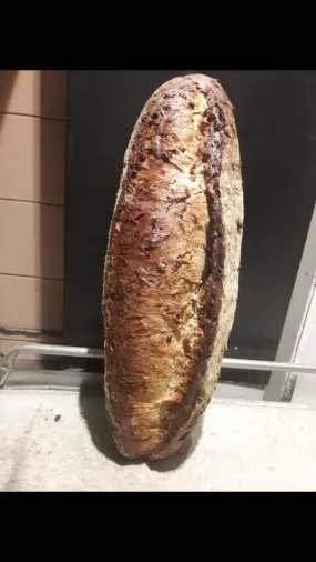CHARPENTIER AUX NOIX